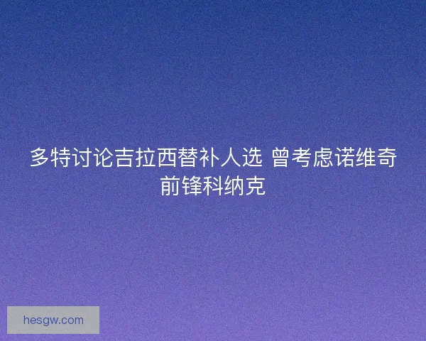 多特讨论吉拉西替补人选 曾考虑诺维奇前锋科纳克