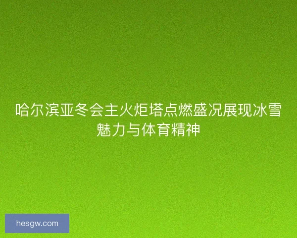 哈尔滨亚冬会主火炬塔点燃盛况展现冰雪魅力与体育精神 哈尔滨亚冬会主火炬塔点燃盛况展现冰雪魅力与体育精神